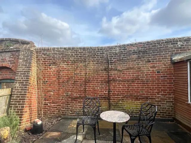 Enclosed brick garden wall with aged mortar joints before restoration.